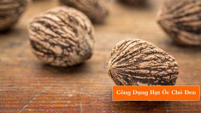 hạt óc chó đen