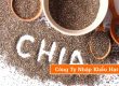 công ty nhập khẩu hạt chia