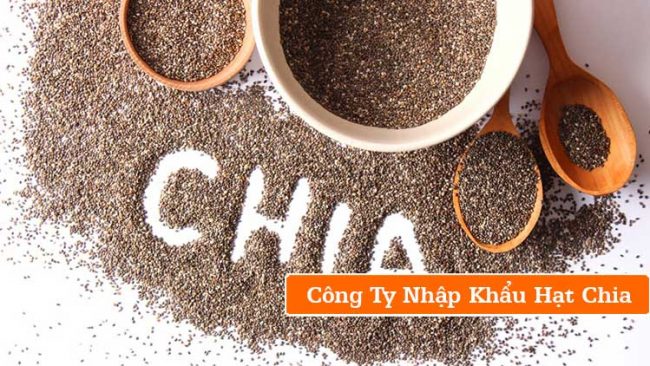 công ty nhập khẩu hạt chia công ty nhập khẩu hạt chia