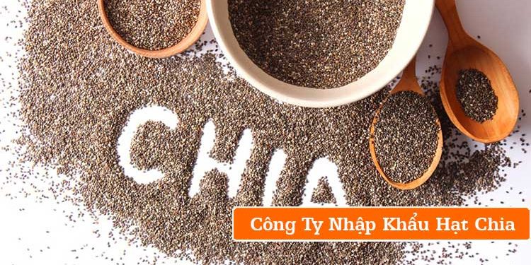công ty nhập khẩu hạt chia công ty nhập khẩu hạt chia