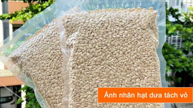 nhân hạt dưa tách vỏ nhập khẩu ấn độ nhân hạt dưa tách vỏ nhập khẩu ấn độ