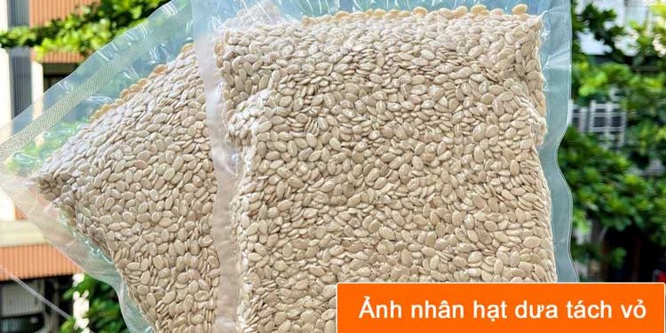 nhân hạt dưa tách vỏ nhập khẩu ấn độ nhân hạt dưa tách vỏ nhập khẩu ấn độ