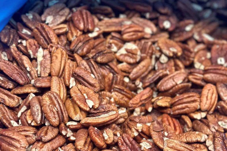 hạt hồ đào pecan hạt hồ đào pecan