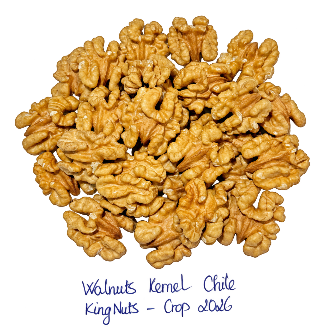 Nhân hạt óc chó Chile - 10kg/Thùng